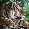 Bengal Tiger by Nicole Ruuska