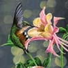 Hummingbird by Nicole Ruuska